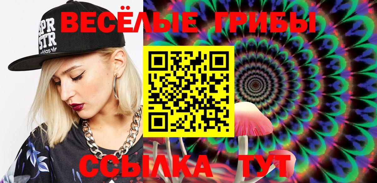 Псилоцибиновые грибы GOLDEN TEACHER Гулькевичи