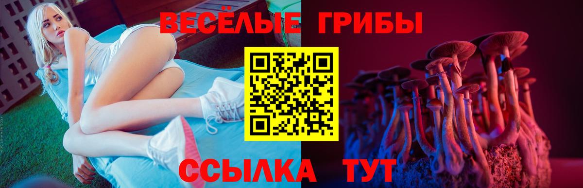 Гулькевичи  купить   Вход с VPN  Псилоцибиновые грибы Psilocybine cubensis  Псилоцибиновые грибы Psilocybine cubensis 